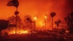 Why Are California Wildfires Happening Off-Season? Key Factors Behind the Change